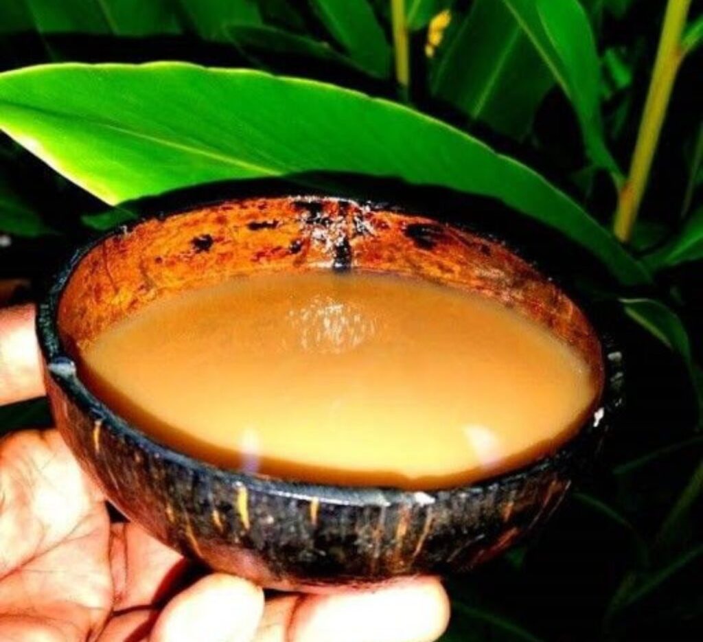 Cute Noble Kava