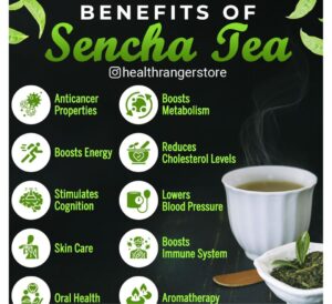 sencha drink