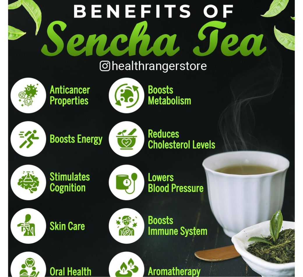 sencha drink
